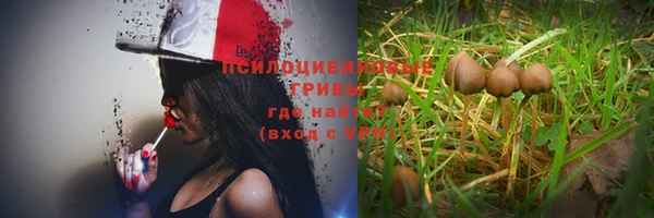 кокаин премиум Алексеевка